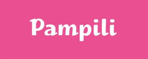 Imagem do(a) pampili
